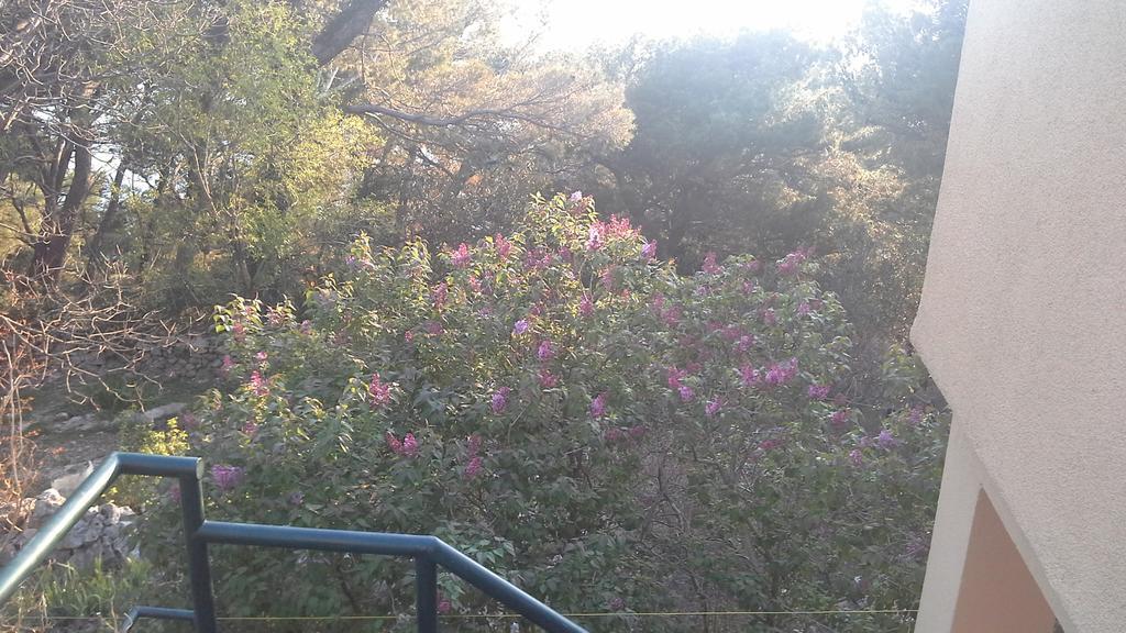 Apartment Gal Podgora Εξωτερικό φωτογραφία