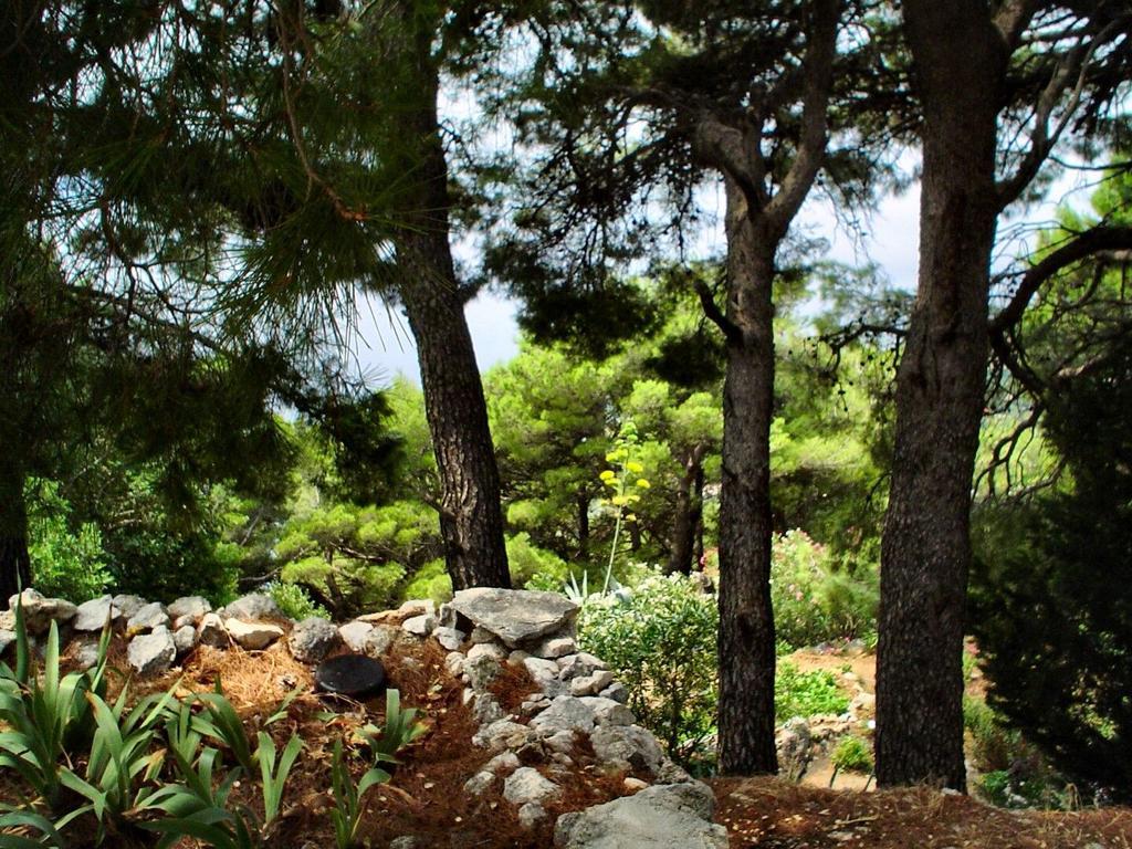 Apartment Gal Podgora Εξωτερικό φωτογραφία