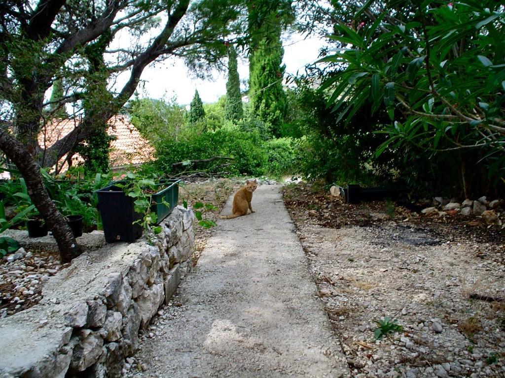 Apartment Gal Podgora Εξωτερικό φωτογραφία