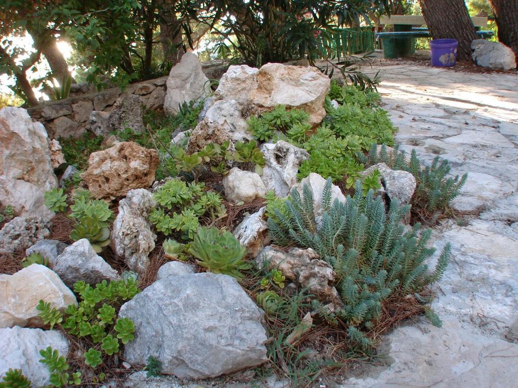 Apartment Gal Podgora Εξωτερικό φωτογραφία