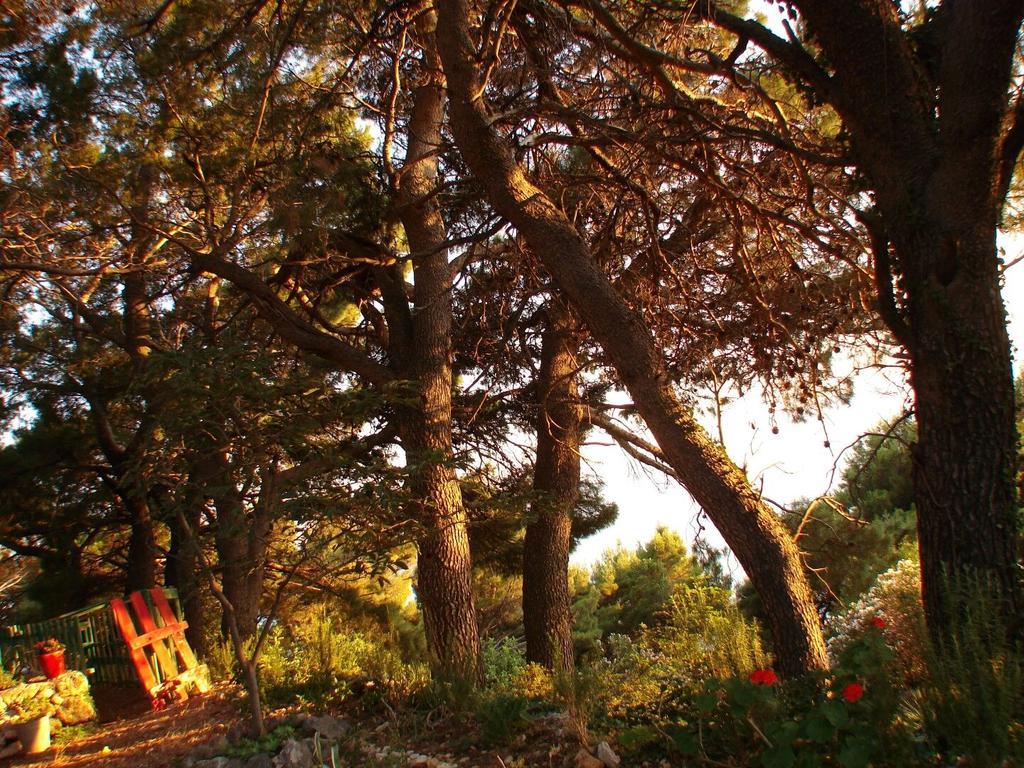 Apartment Gal Podgora Εξωτερικό φωτογραφία