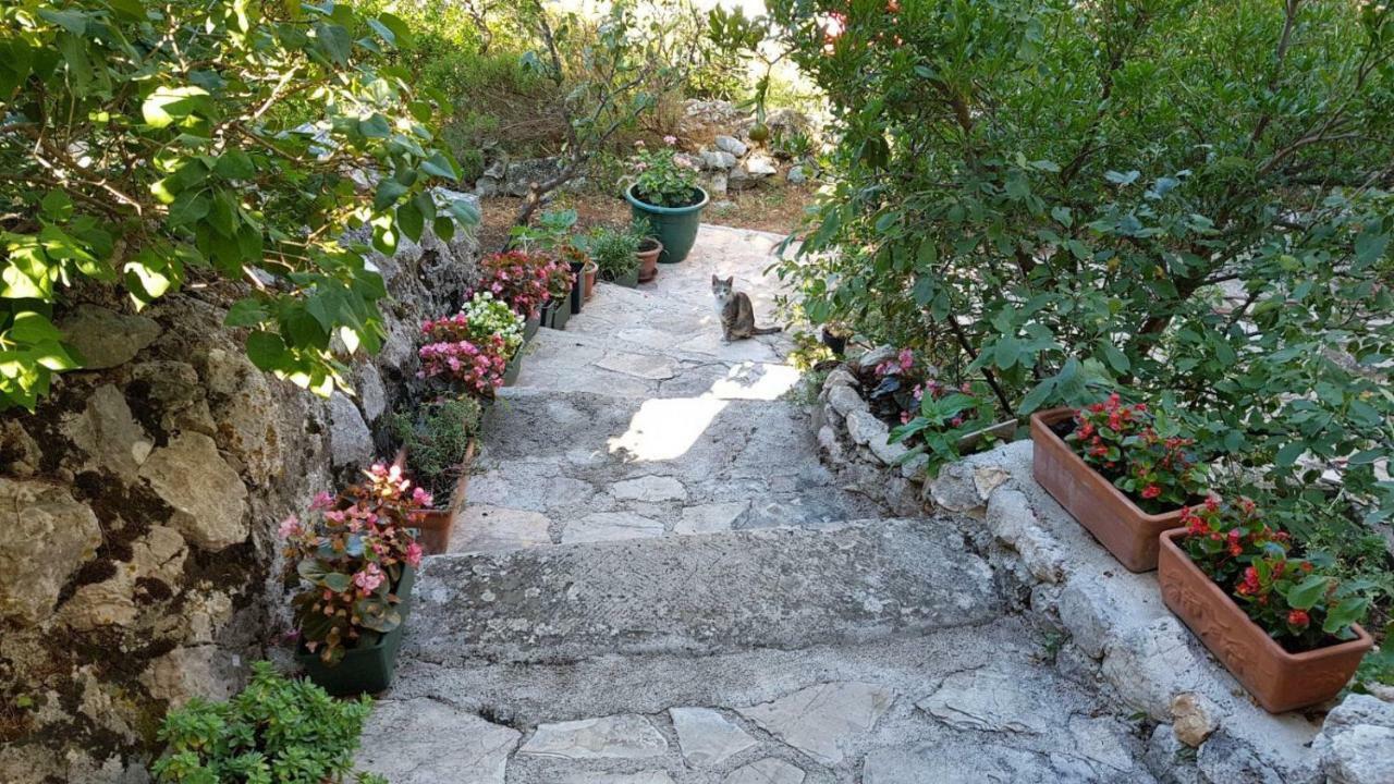 Apartment Gal Podgora Εξωτερικό φωτογραφία